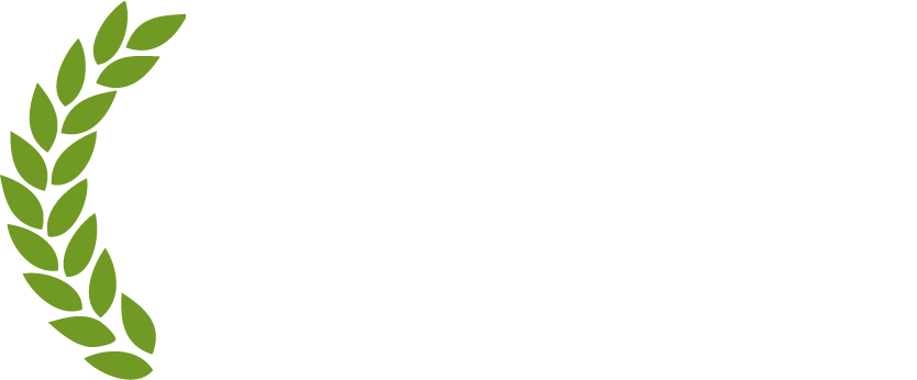 eHealth Startup